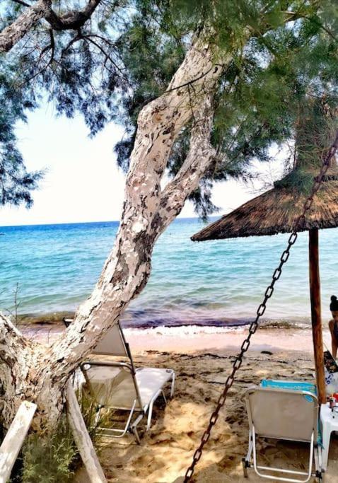 Peraía Apartment With 3 Rooms Just 1 Min From The Beach And Free Public Parking מראה חיצוני תמונה